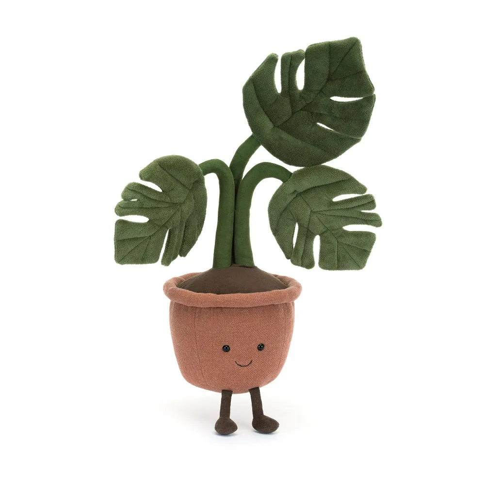 Amuseable Monstera Plant