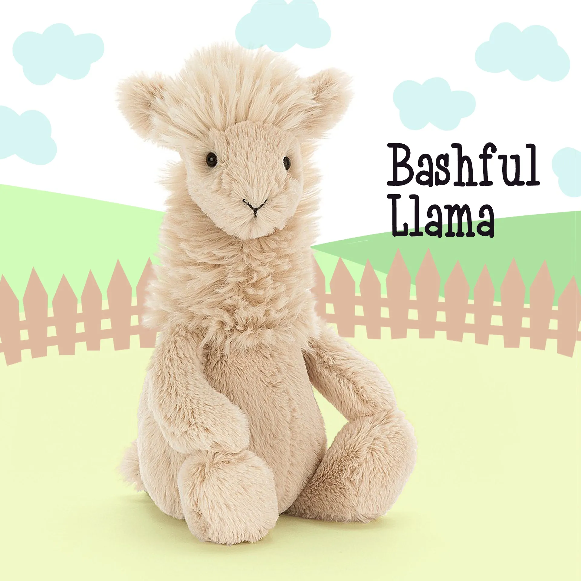 Bashful Llama