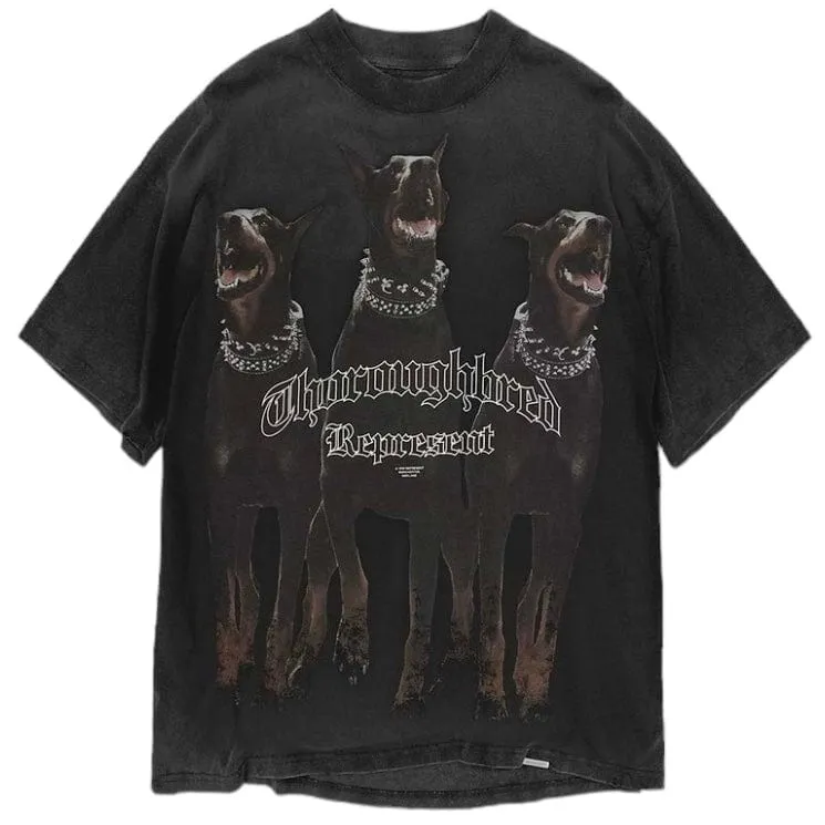 Represent Thoroughbred T Shirt (Vintage Black) MLM499-03